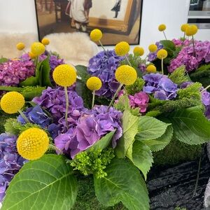 Meet your Posher, Dori!